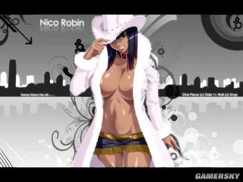 NO.17 妮可·罗宾-《海贼王》