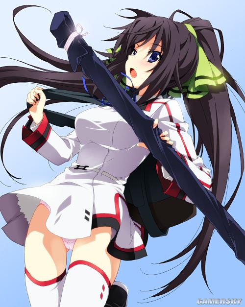 NO.3 篠之之箒-《Infinite Stratos》 1