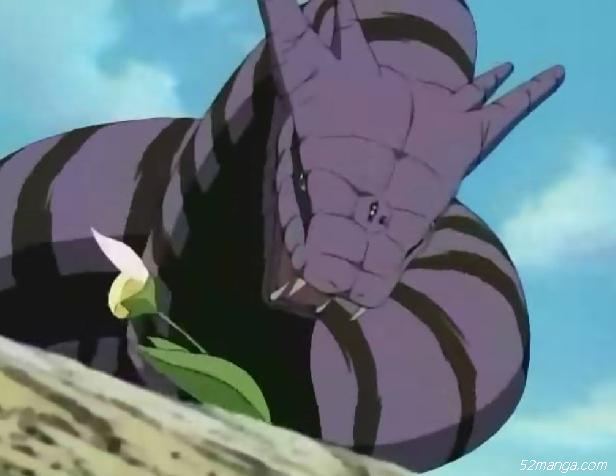 NO.4万蛇 大蛇丸；万蛇万蛇（大蛇丸最大的的通灵兽） 
　　特点：紫色，很巨大，移动速度快。跟大蛇丸要100个活人当祭品。 
　　曾经被自来也和蛤蟆文太用“火遁.蛤蟆油炎弹”烧过(蜕了皮，烧的只是蛇皮），被纲手用文太的短刀扎过（没扎死），很是狼狈，毕竟是大蛇丸的通灵兽,也不能小视。 
　　在佐助对阵迪达拉的战斗中，迪达拉准备将自己的真身自爆，与佐助同归于尽。而佐助则召唤出万蛇，先用写轮眼对万蛇使用幻术，然后钻入万蛇体内，自己免得一死，而万蛇则被炸死。 
　　万蛇目前的火影动画中出现过三次: 
　　1:三忍之战时。单说万蛇本身还是很厉害的，体积比蛤蟆文太和蛞蝓都要大，但由于是二对一，万蛇同时面对两个实力不凡的通灵兽，所以最后被打败了。 
　　 


文太、万蛇、蛞蝓大小对比2:万蛇在动画345集,如漫画一样,佐助为了躲避爆炸,召唤万蛇,并且用写轮眼控制了万蛇,并进入其体内,免得一死,万蛇则被炸死。 
　　3:在自来也忍法帖中，讲述在忍者大战中三忍联合召唤通灵兽的那一段里与蛞蝓、文太一起出现。