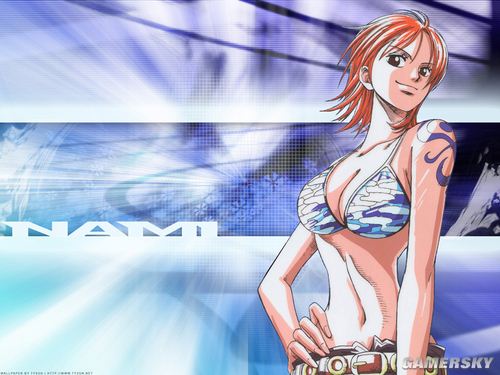 NO.16 娜美-《海贼王》