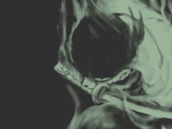 罗罗亚·索隆 帅照