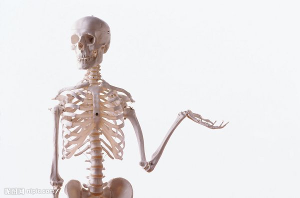 现实中的布鲁克