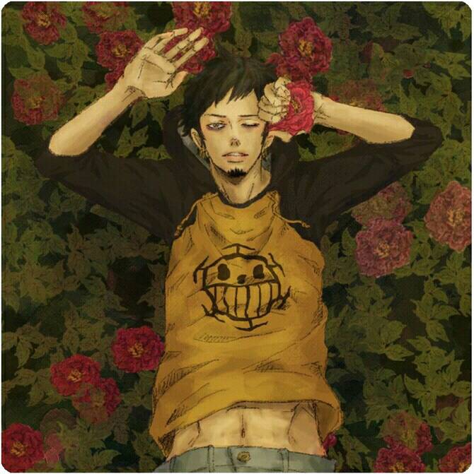 红心海贼团船长特拉法尔加罗