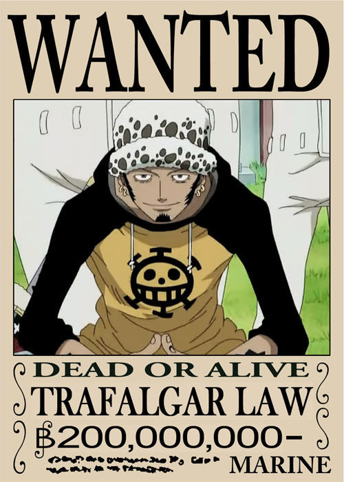 死亡外科医生 特拉法尔加·罗
红心海贼团船长 北海出身 性格冷静