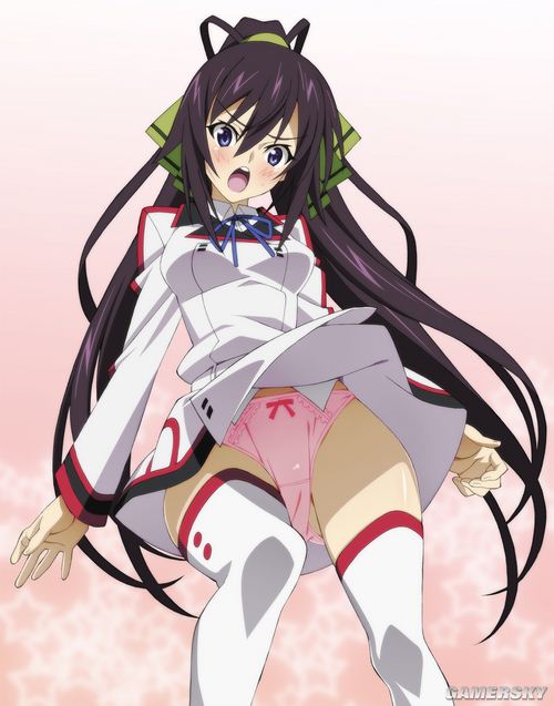 NO.3 篠之之箒-《Infinite Stratos》 2