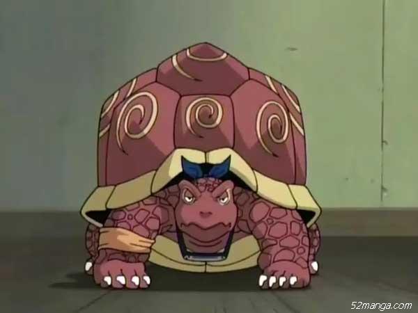 NO.8. 凯的 忍者神龟