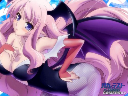 NO.19 姬路瑞希-《笨蛋，测验，召唤兽》