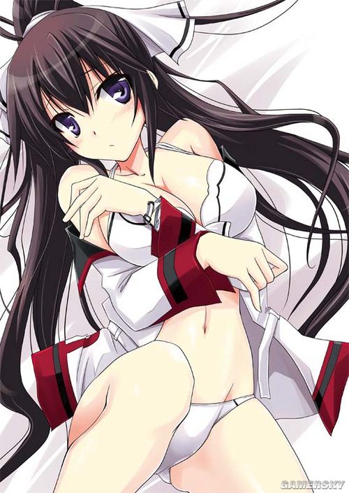 NO.3 篠之之箒-《Infinite Stratos》 3