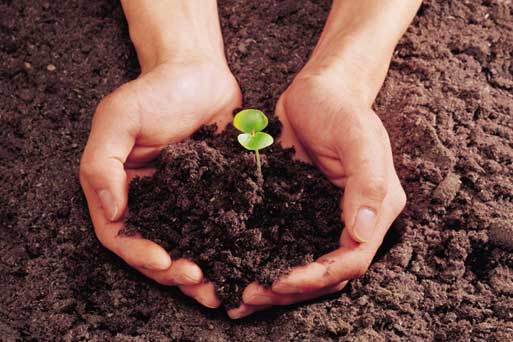 队友眼中的乌索普