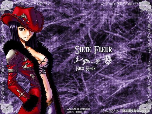 NO.17 妮可·罗宾-《海贼王》