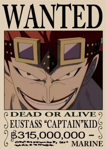 尤斯塔斯·基德 
基德海贼团船长 之所以他的悬赏金比路飞高，是因为他残杀了很多老百姓。
拥有磁铁一般的能力，能吸引铁制的物品也能反射。船员以“老大”来称呼他。