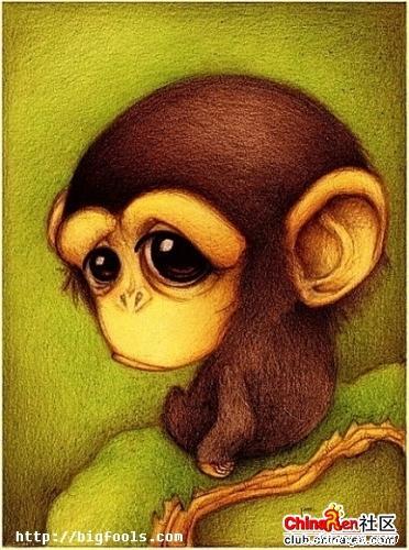 小猴子