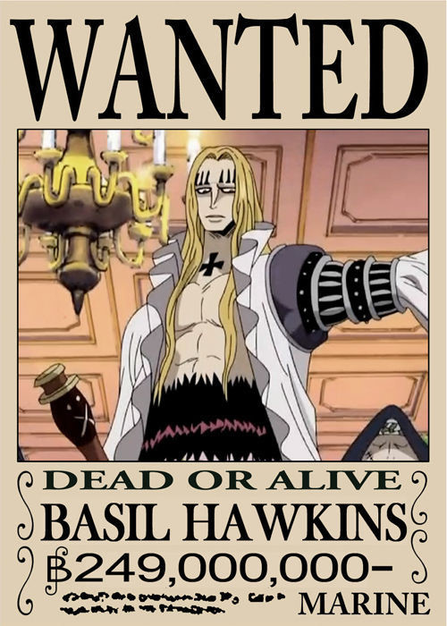 魔术师  巴兹尔·霍金斯 
霍金斯海贼团船长 个性沉默,讲话有占卜师的样子. 能力者