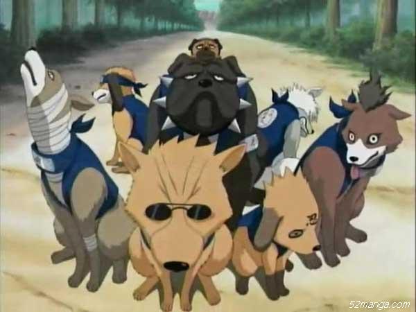 NO.6.以帕克为首的八忍犬——卡卡西