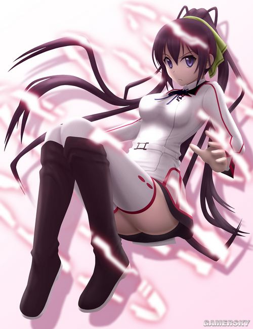 NO.3 篠之之箒-《Infinite Stratos》 4