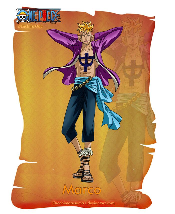 马尔高
Marco
白胡子海贼团第一队队长，动物系“幻兽种”果实能力者。