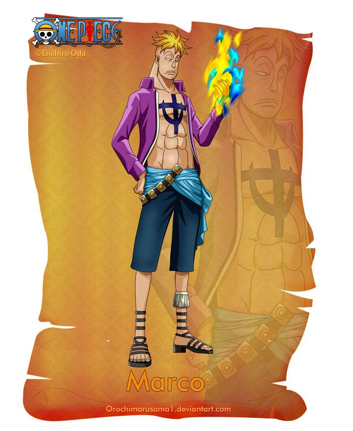 马尔科
Marco
马尔高留着金色的朋克头，腰间配载着匕首，胸口上有白胡子海贼团的刺青，20几年前就已经是白胡子海贼团成员，在团里是实质上的No.2 。语尾是“-い。”，眼皮总是有一半闭着。