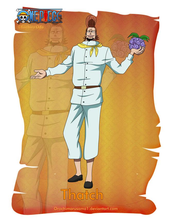 萨奇
Thatch
白胡子海贼团 第四番队队长
因为得到黑胡子梦寐以求的黑暗果实而被黑胡子杀害。