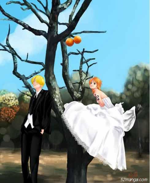 路飞成了海贼王，然后他们都结婚了