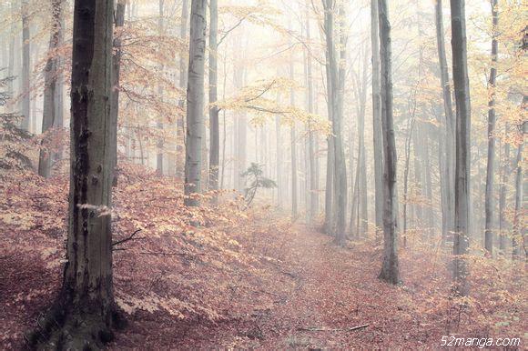 那些让人怦然心动的二次元场景