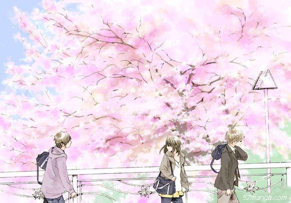 校园中的那些美好回忆