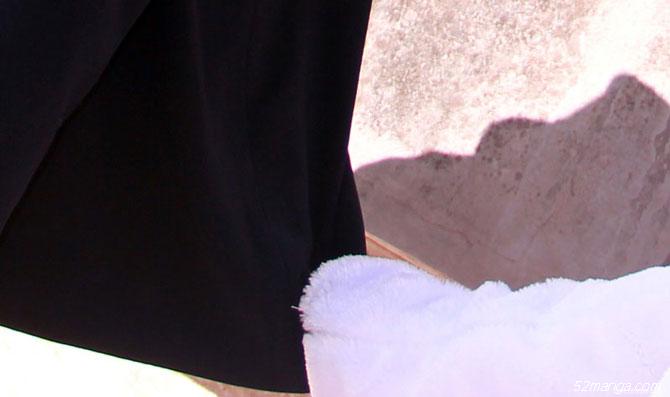 我们是星灵 一但契约 便永远忠诚于主人