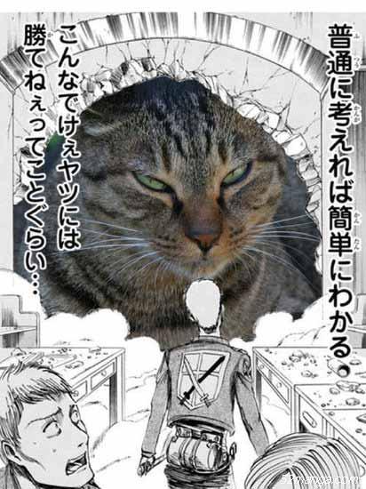 进击的巨猫