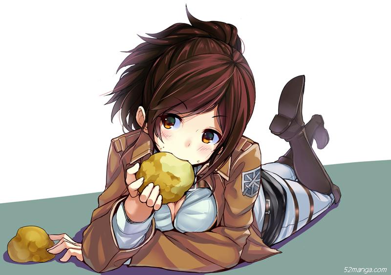 进击的巨人 1组