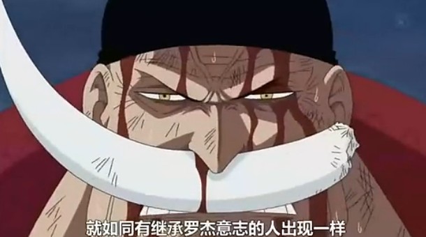 白胡子 爱德华纽盖特