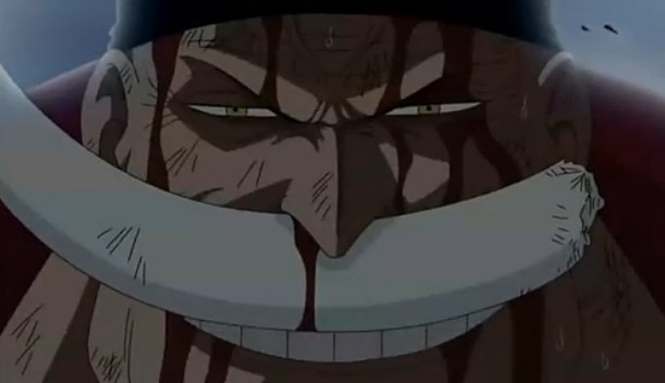 白胡子 爱德华纽盖特