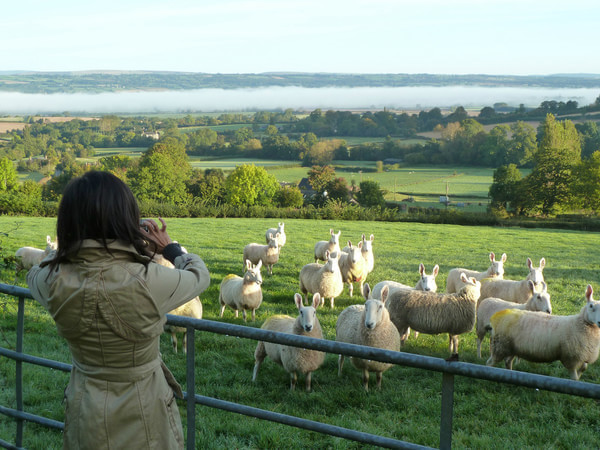 蓝卡游当地的风光www.52manga.com
