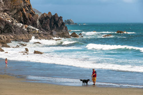 英国的科尼什(Cadgwith)渔村