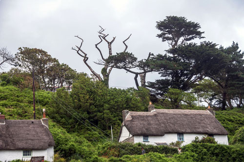 英国的科尼什(Cadgwith)渔村