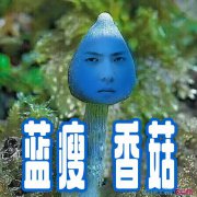 香菇蓝瘦
